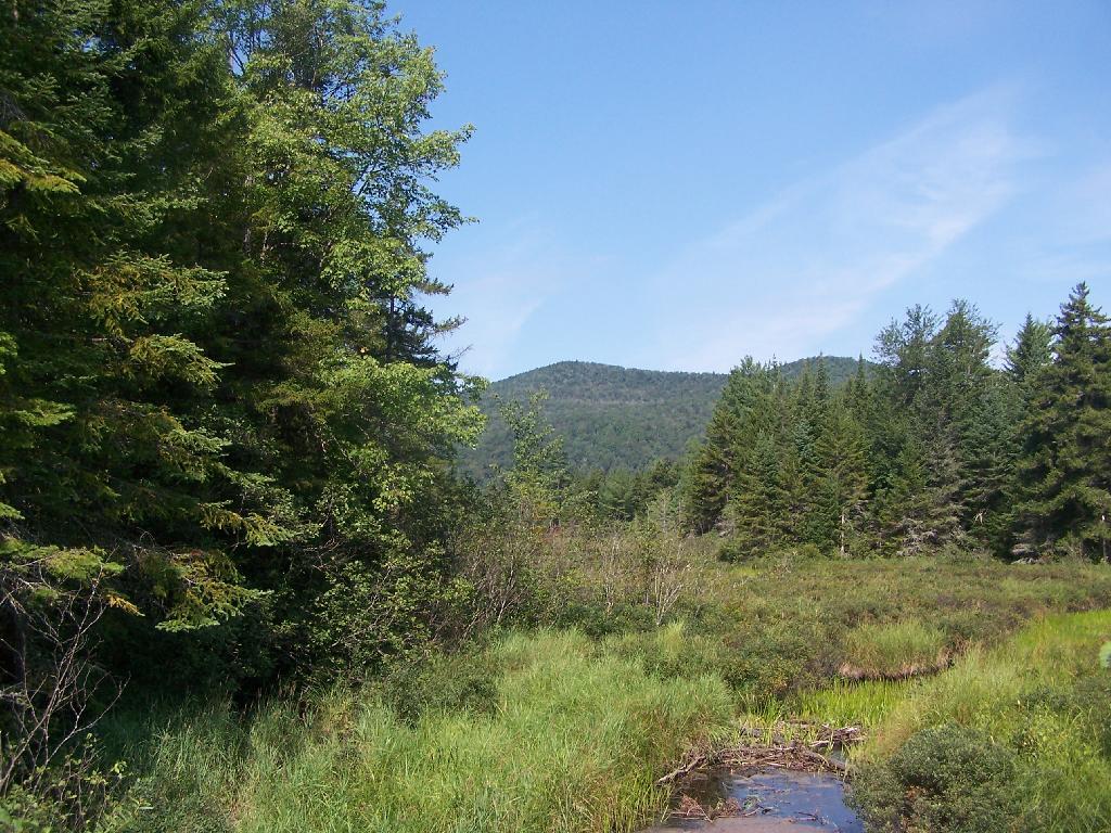Photo: Marsh and Pillsbury Mountain