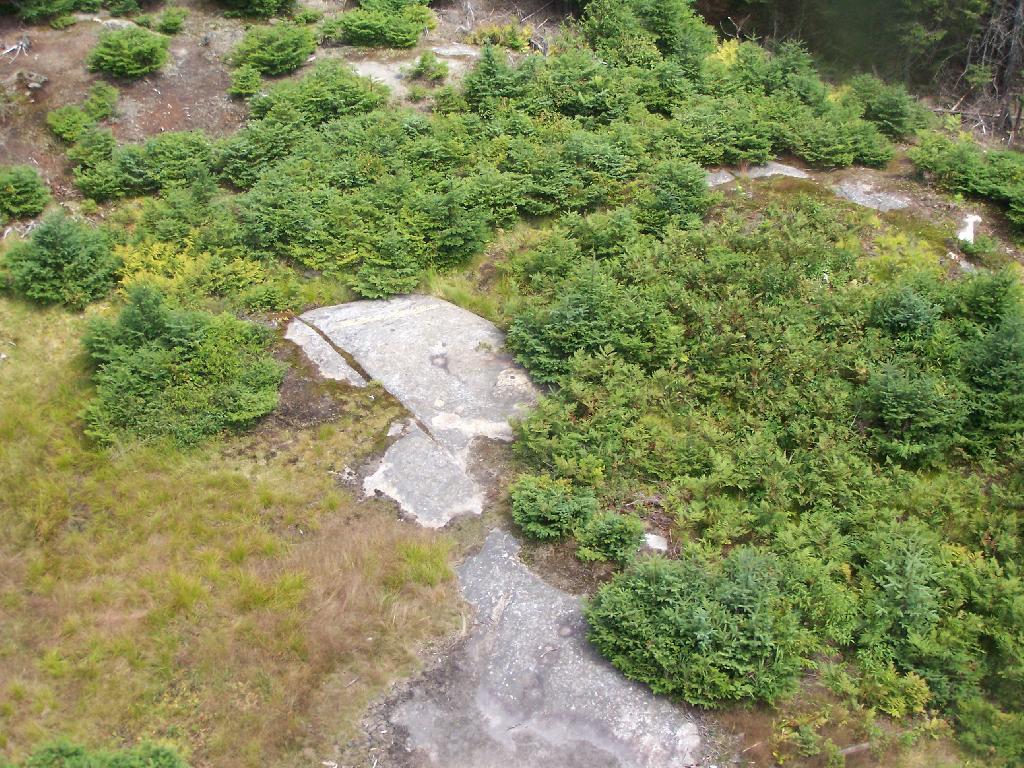 Photo: Helipad Clearing