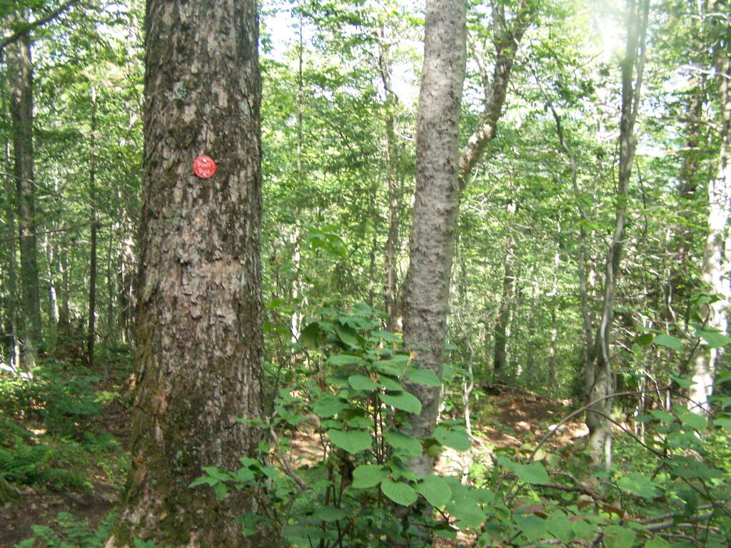 Photo: Red Trail Photo: Red Trail