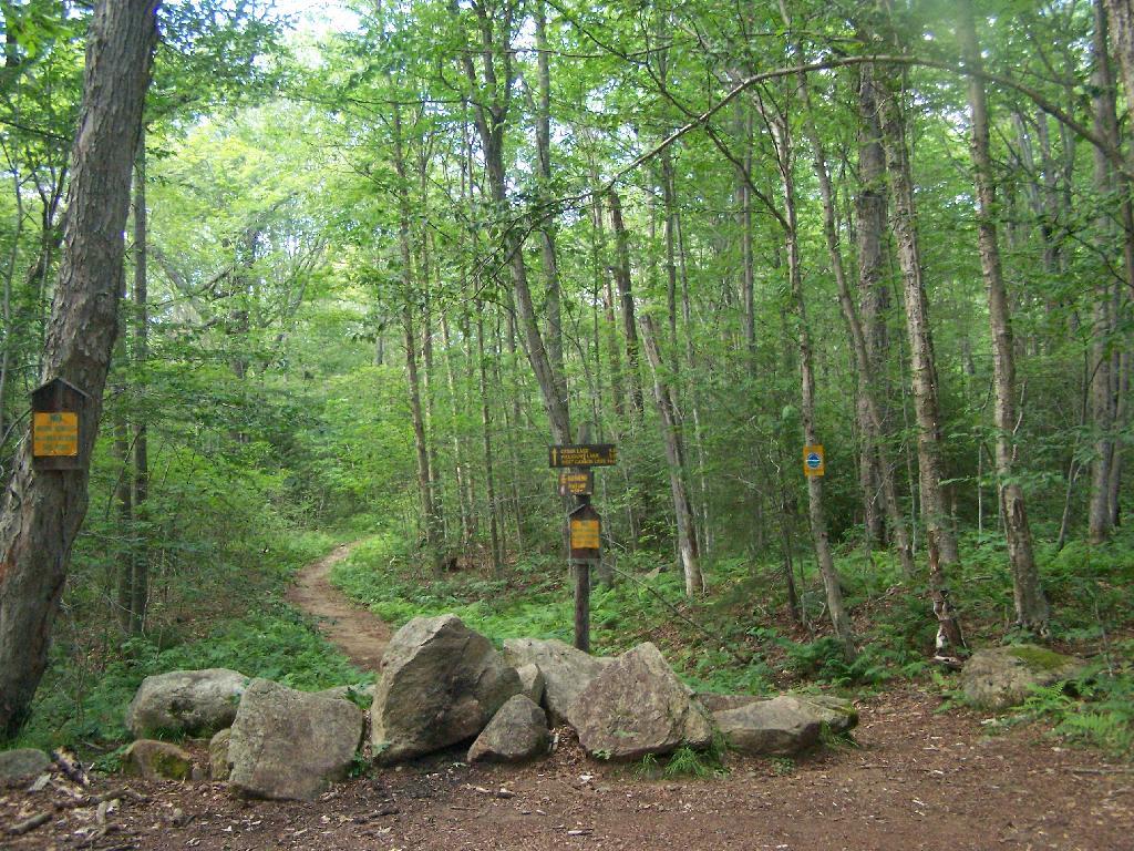 Photo: At West Canada Wilderness