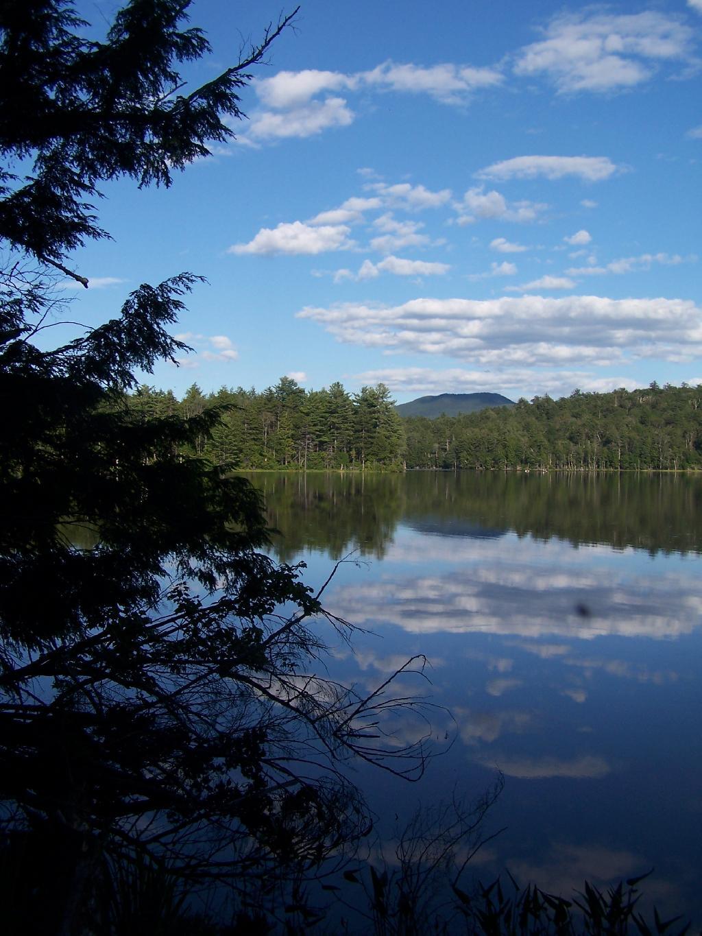 Photo: Mason Lake Photo: Mason Lake