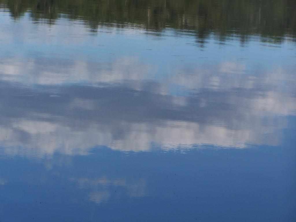 Photo: Reflection
