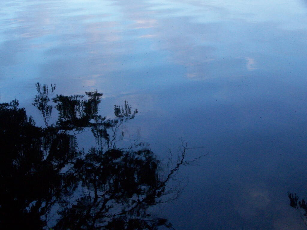 Photo: Blue