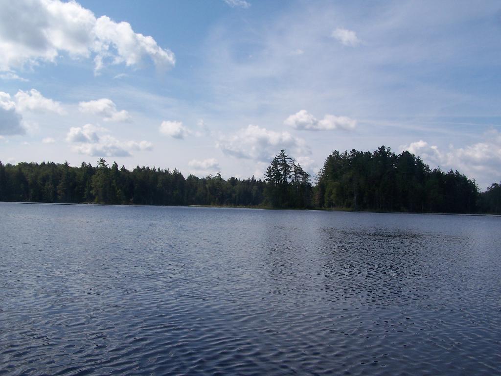 Photo: Paddling Across Mason Lake Photo: Paddling Across Mason Lake
