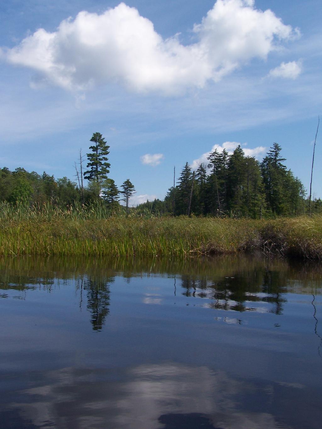 Photo: Clouds and Marsh at Mason Lake