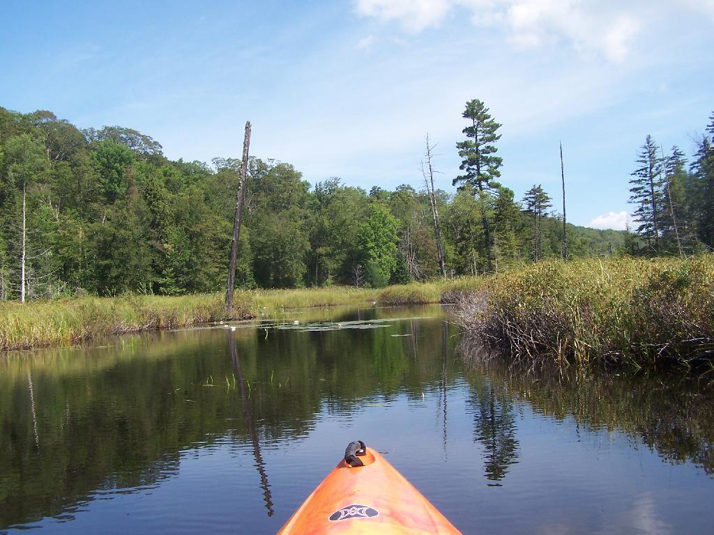 Photo: Thru Swampy End of Mason Lake Photo: Thru Swampy End of Mason Lake