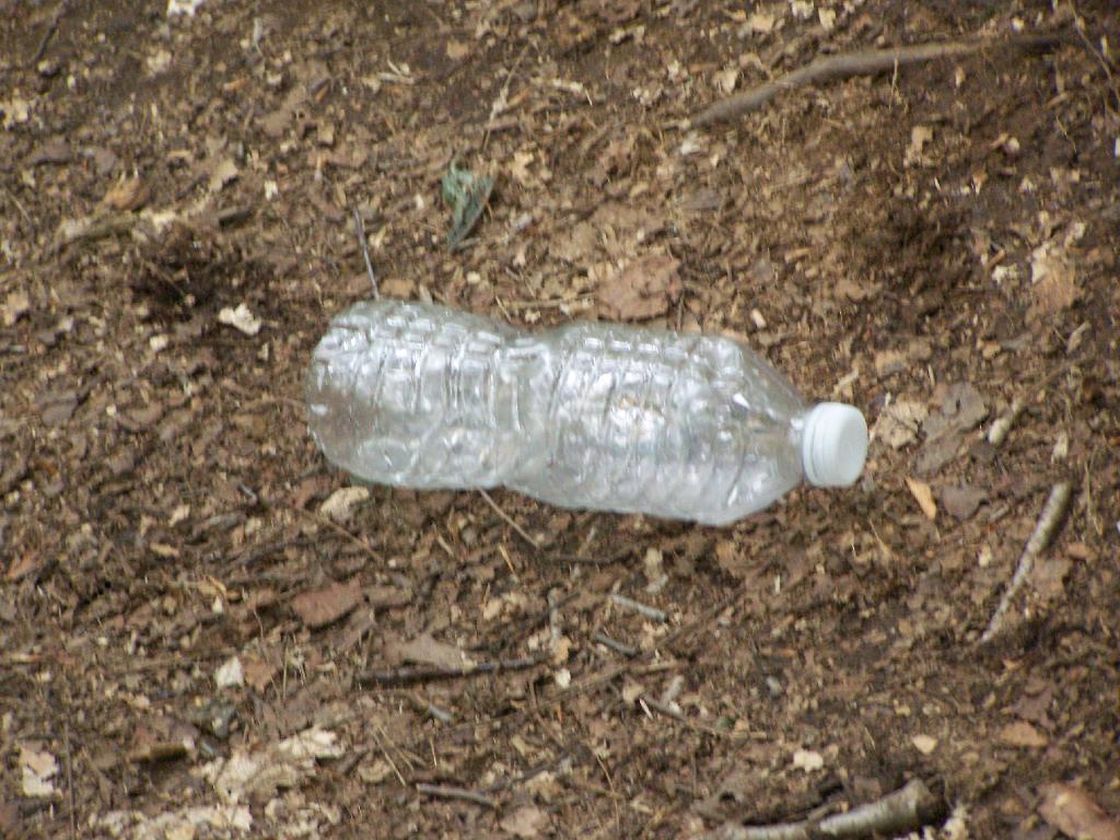 Photo: Plastic Bottle Litter