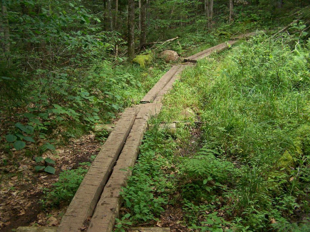 Photo: Boardwalks