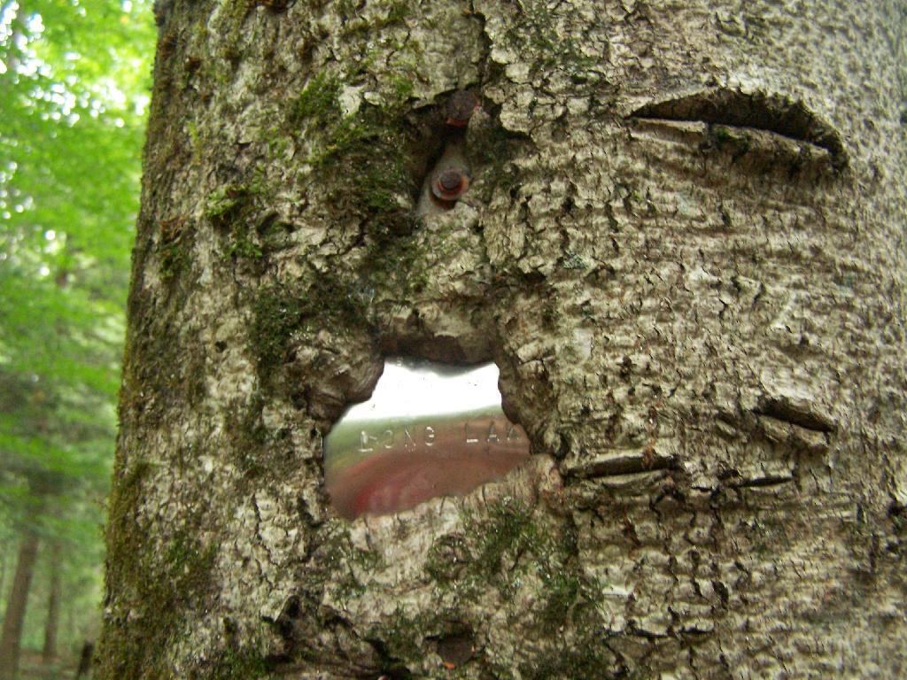 Photo: Grown Over Steel Trail Marker