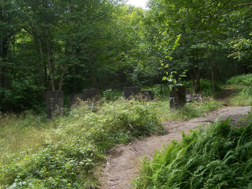 Photo: Observers Cabin Ruins