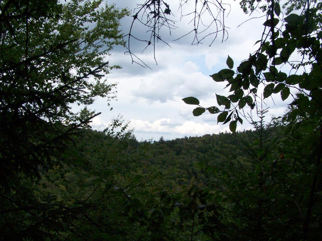 Photo: Looking Back While Climbing