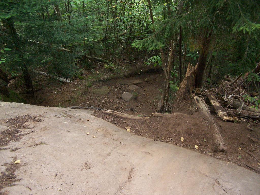 Photo: Well Worn Trail
