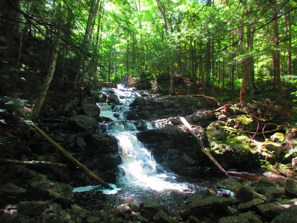 Photo: North Creek Falls