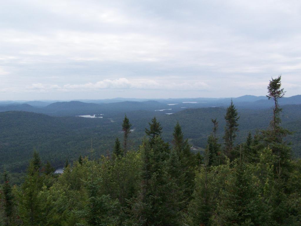 Photo: Sargent Ponds Area & Timberland