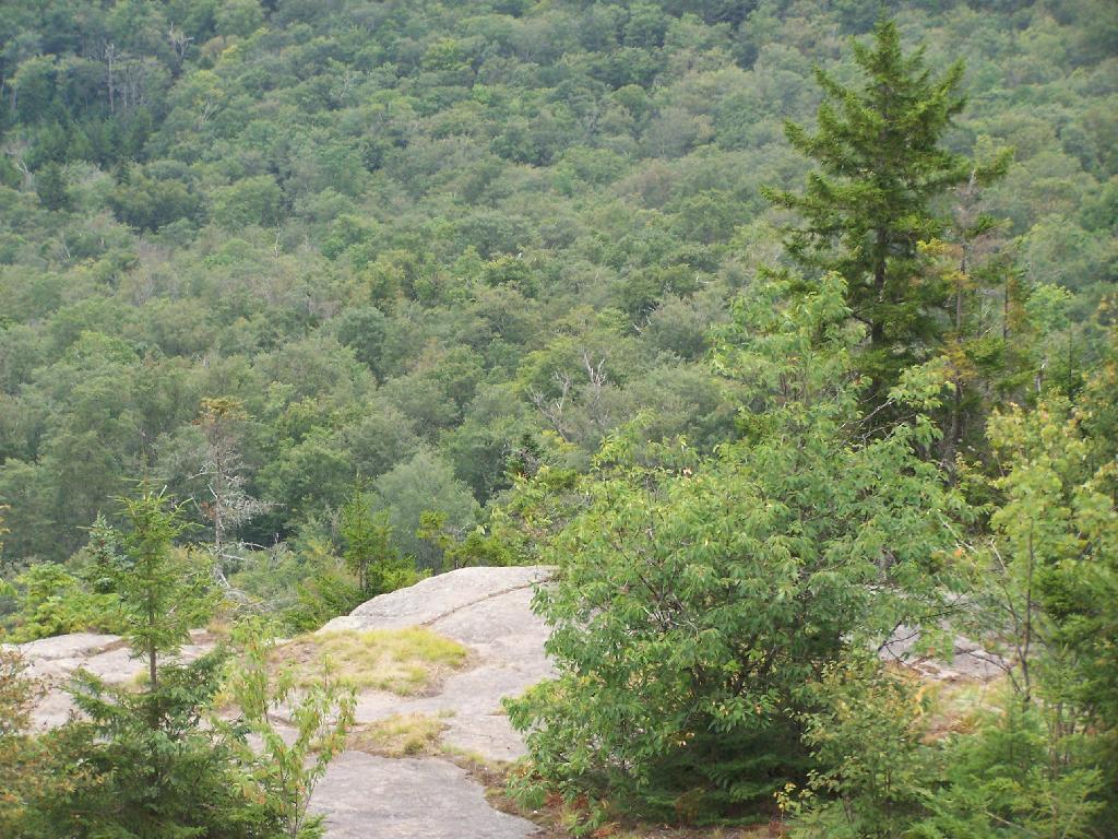 Photo: Edge of Owls Head