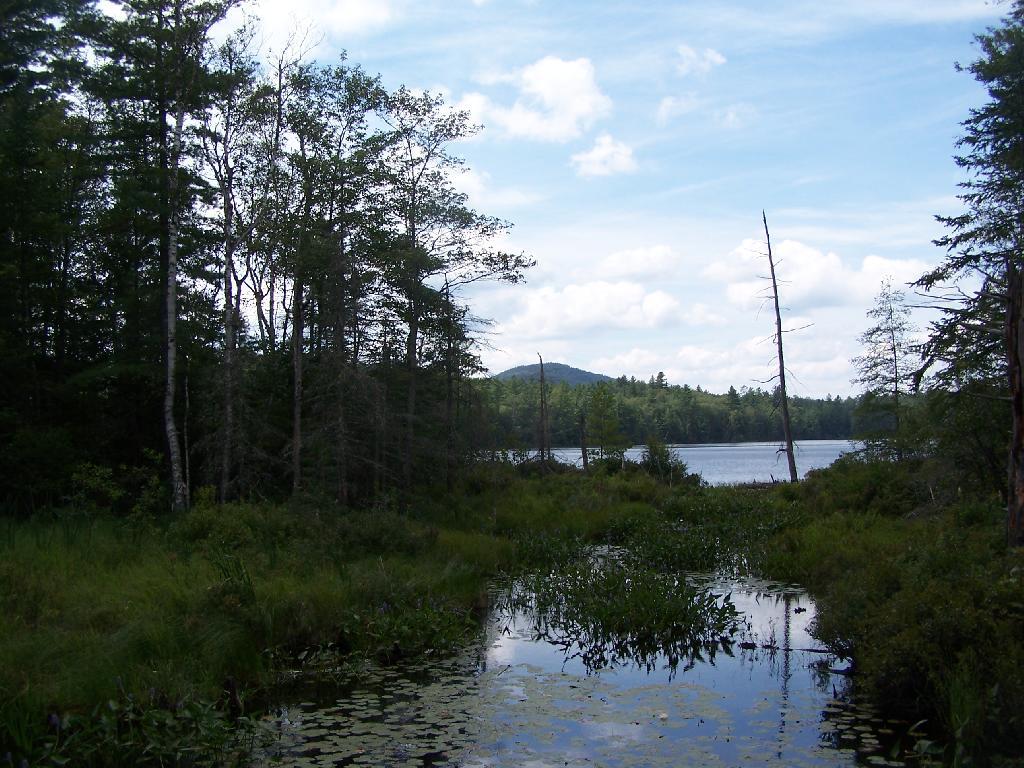 Photo: East Pond