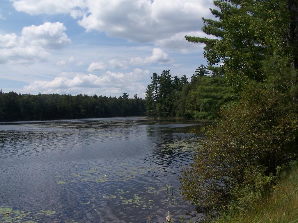 Photo: Middle Pond