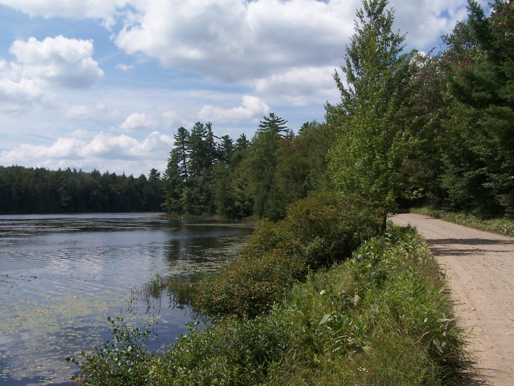 Photo: Floodwood Road