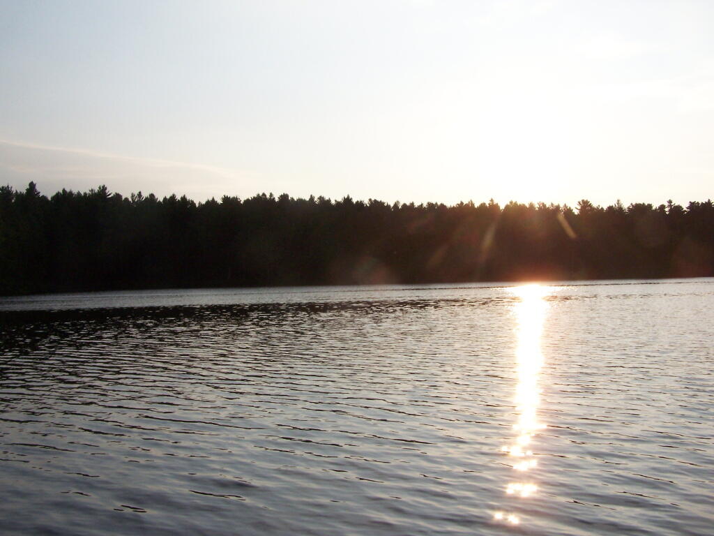 Photo: Sunshine Photo: Sunshine