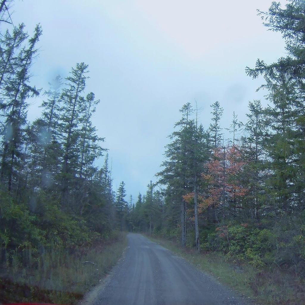Photo: Rainy Day in Canaan Heights Photo: Rainy Day in Canaan Heights
