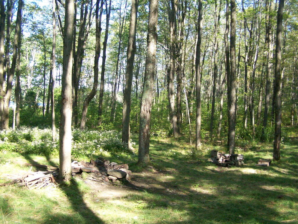 Photo: Campsite at Rossman Pond