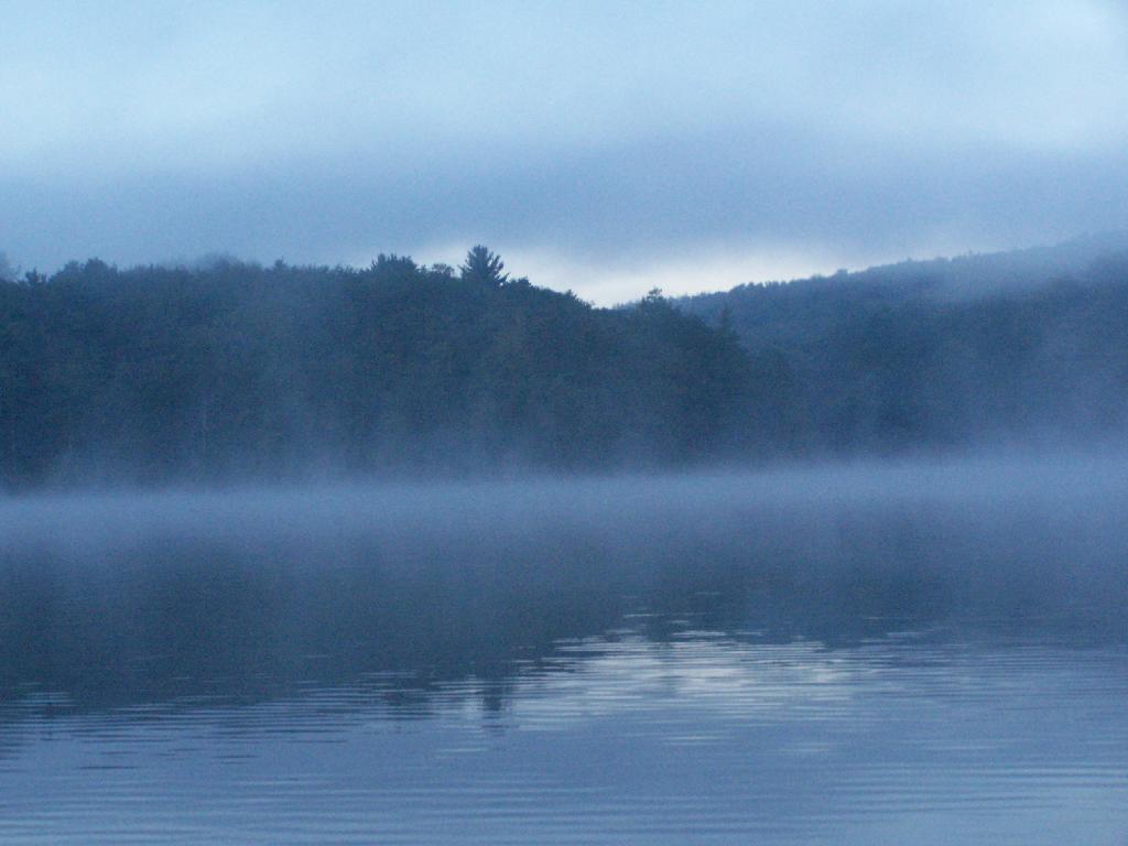 Photo: Towards the Dam