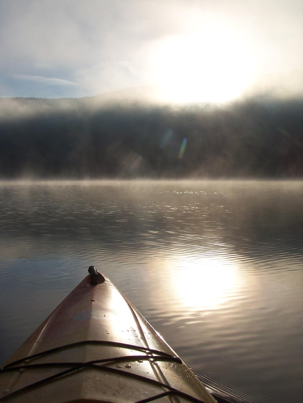 Photo: Rays of Sun