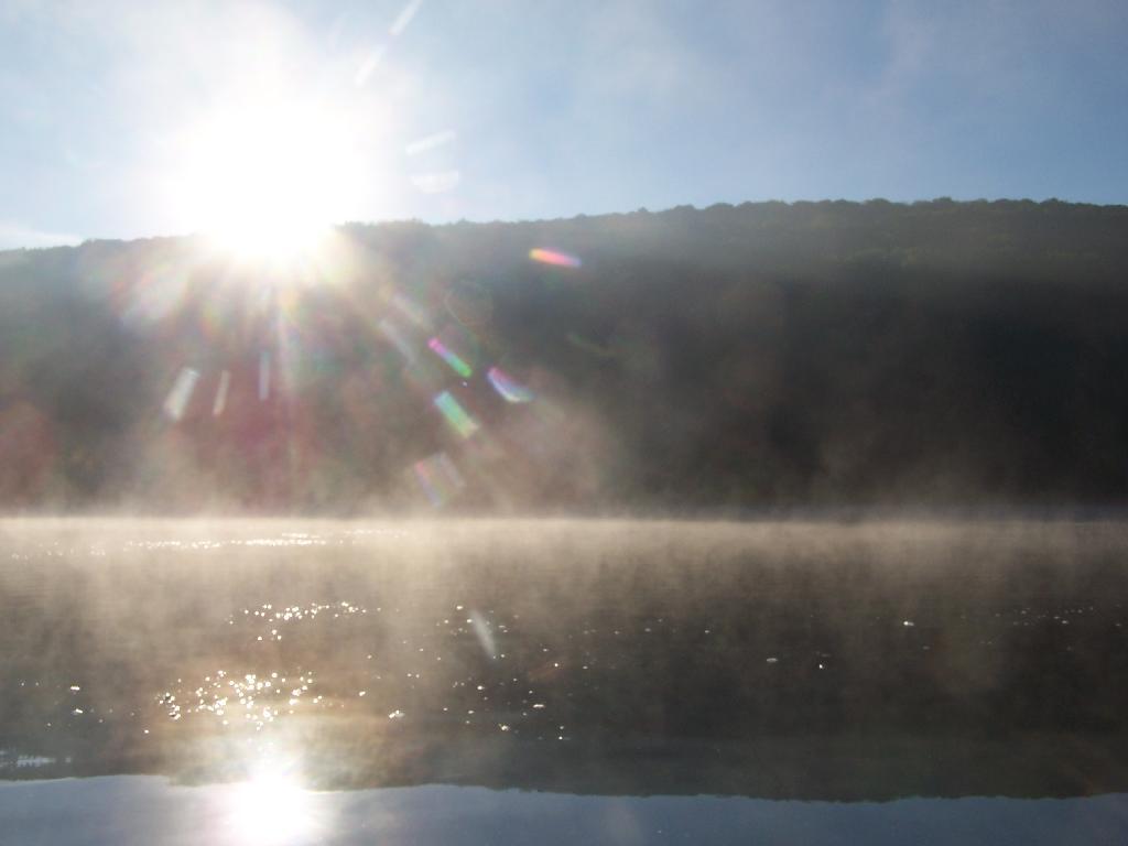 Photo: Sunlight