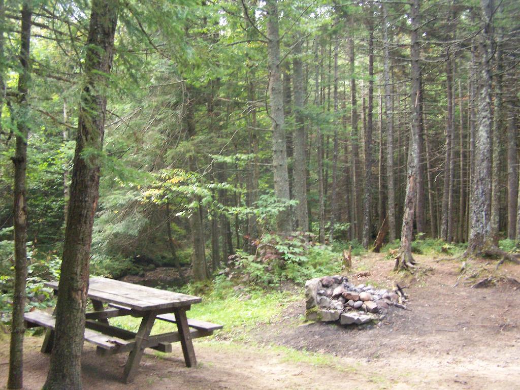 Photo: Campsite 2 Closer Up Photo: Campsite 2 Closer Up