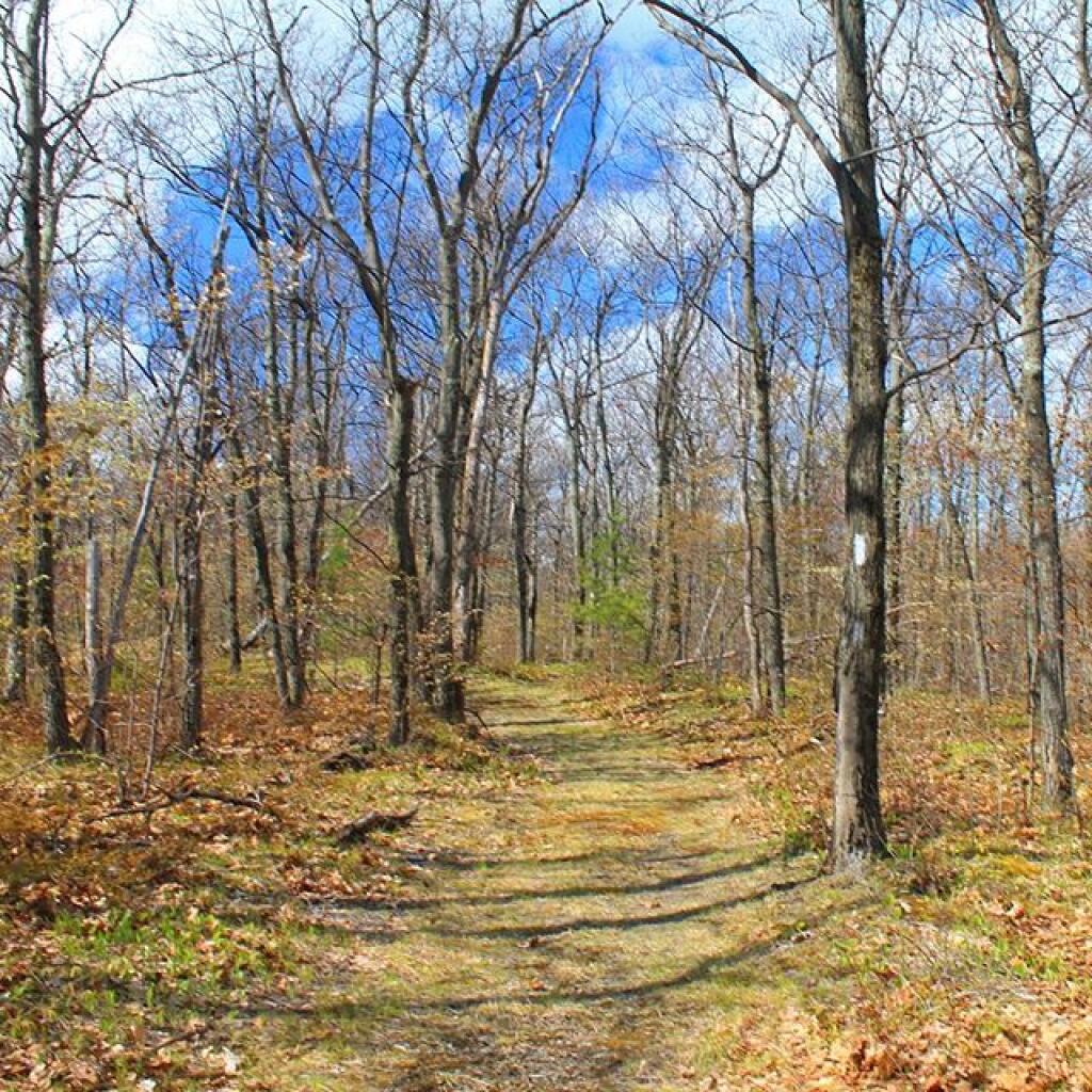 Photo: Top of Wolf Hill