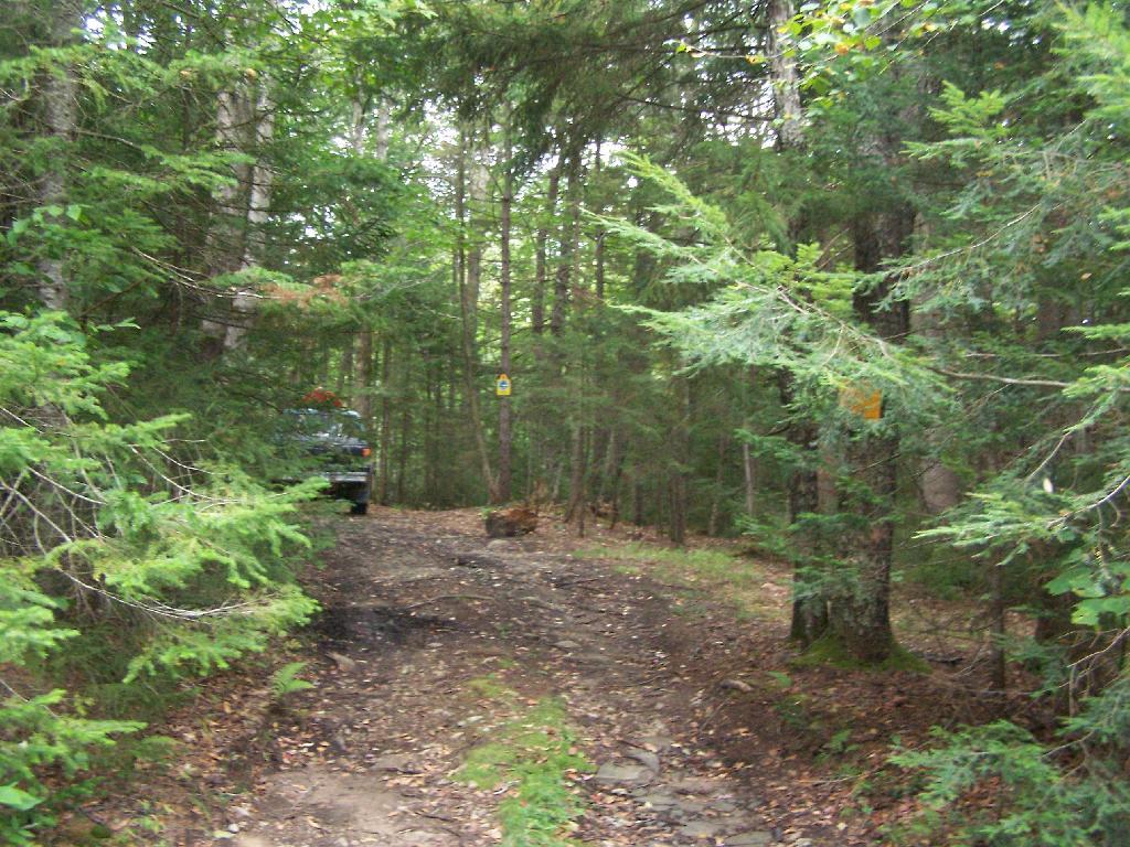 Photo: Campsite Set Back Off the Road