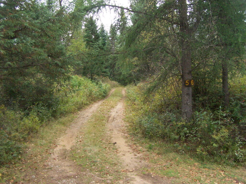 Photo: Campsite 56 Photo: Campsite 56