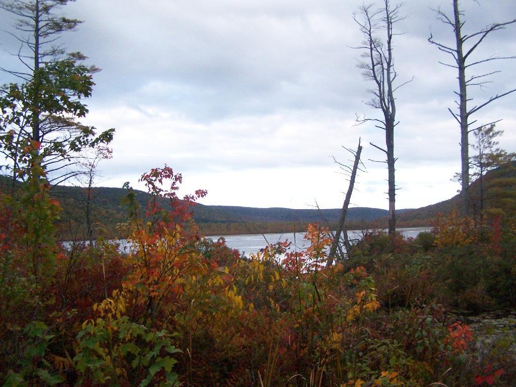 Photo: Labrador Pond
