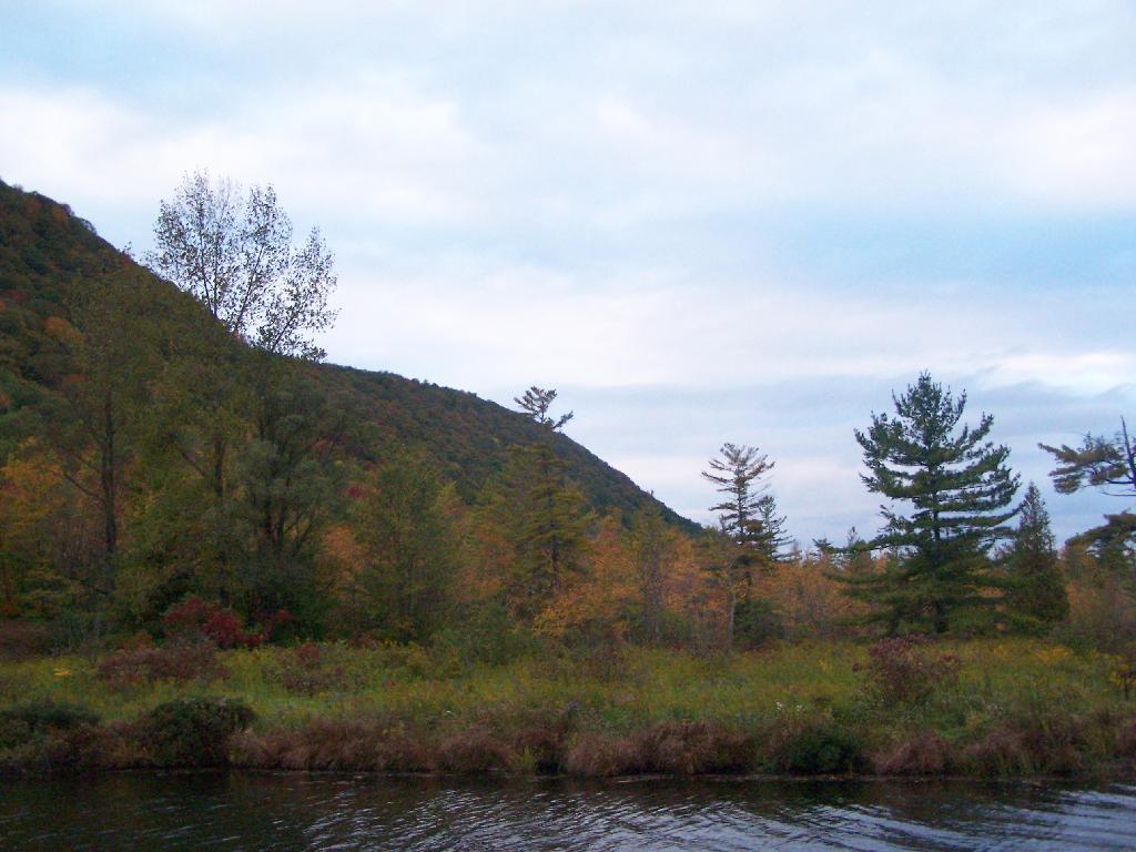 Photo: Near Canal At Labrador Lake