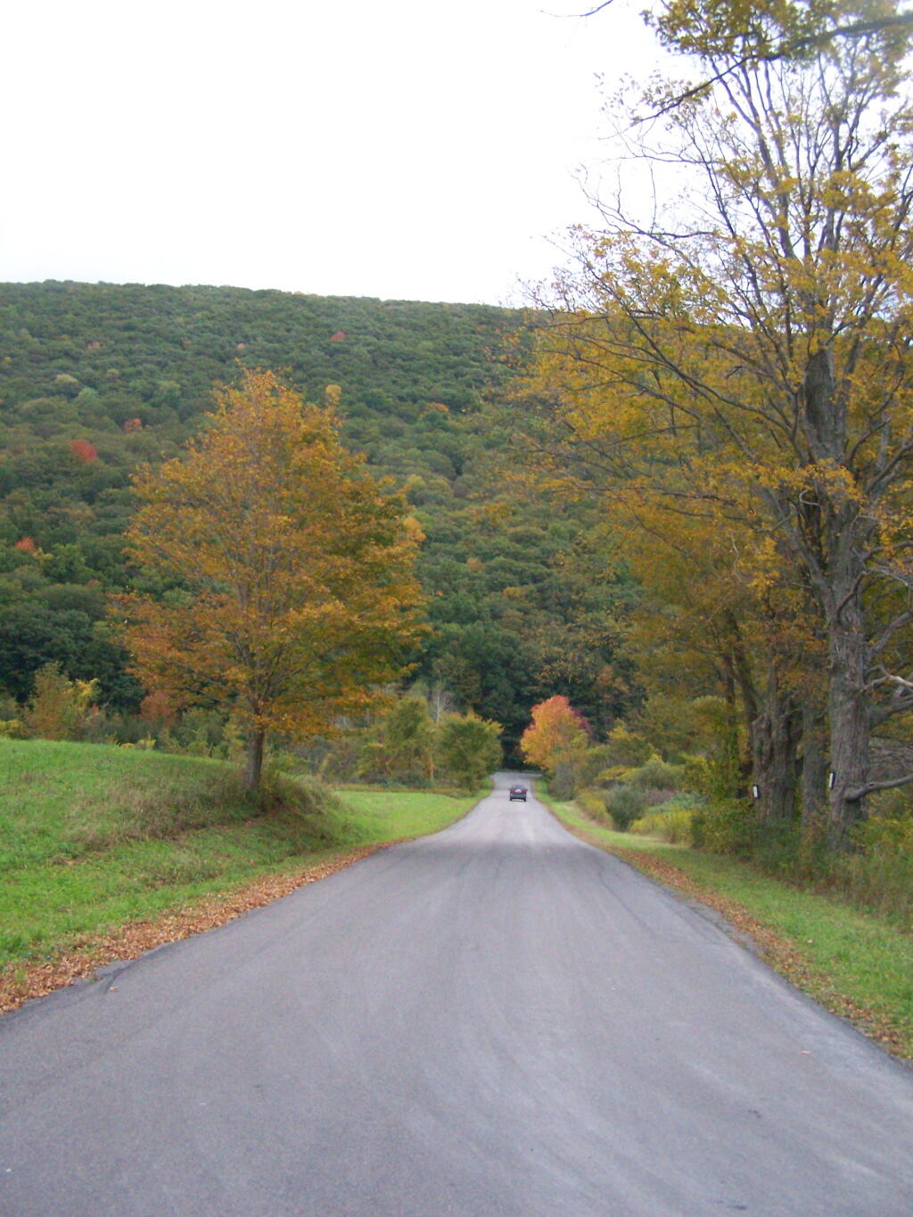 Photo: Cross Road Towards Jones Mountain