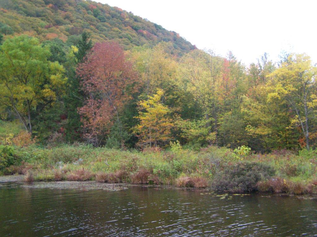 Photo: Labrador Hill and Pond