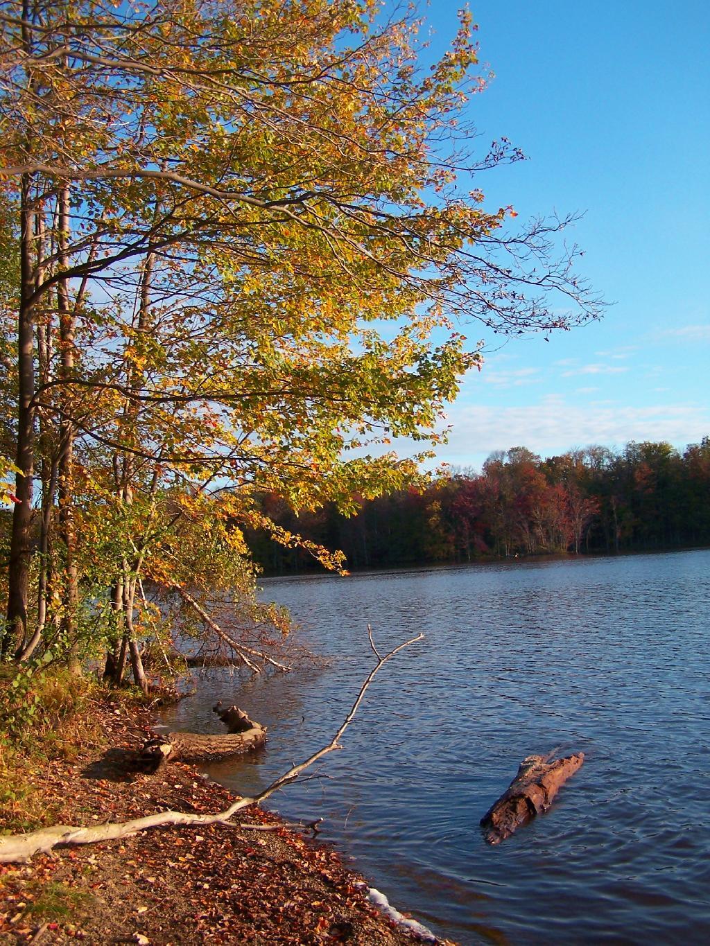Photo: Along Salmon River Reservoir Photo: Along Salmon River Reservoir