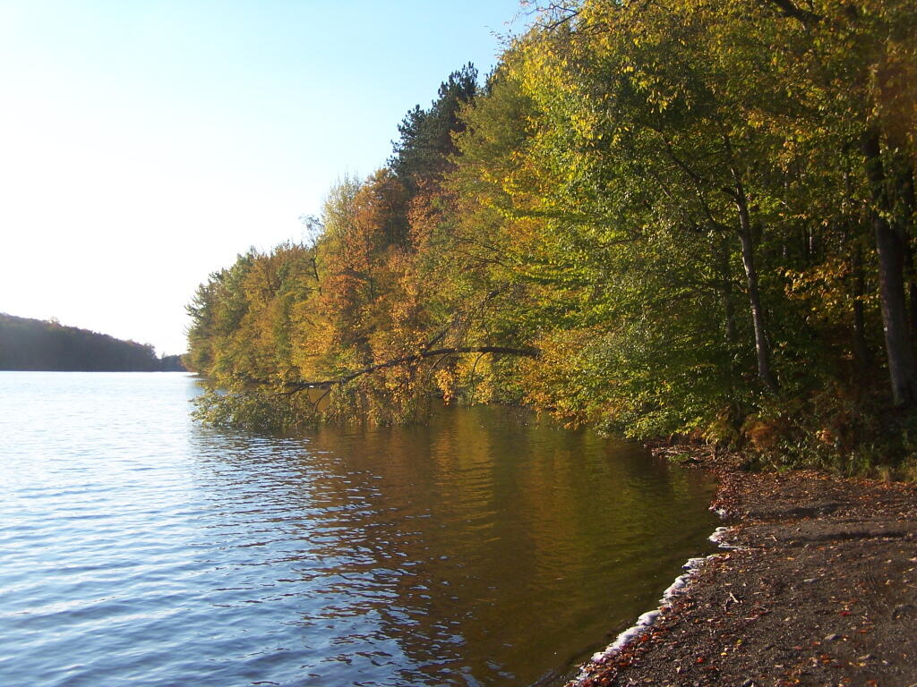 Photo: Fall Colors Start Showing Their Colors