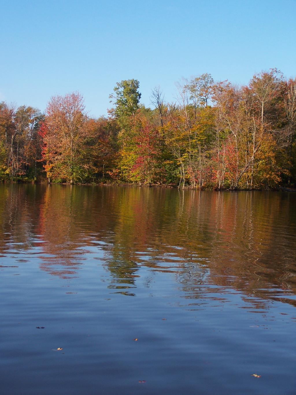 Photo: Fall Colors