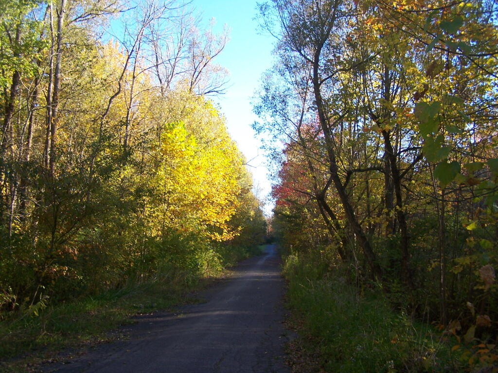 Photo: Abandoned Road Photo: Abandoned Road