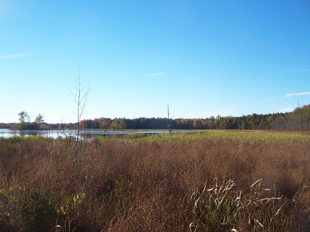 Photo: Untitled Photo: Untitled