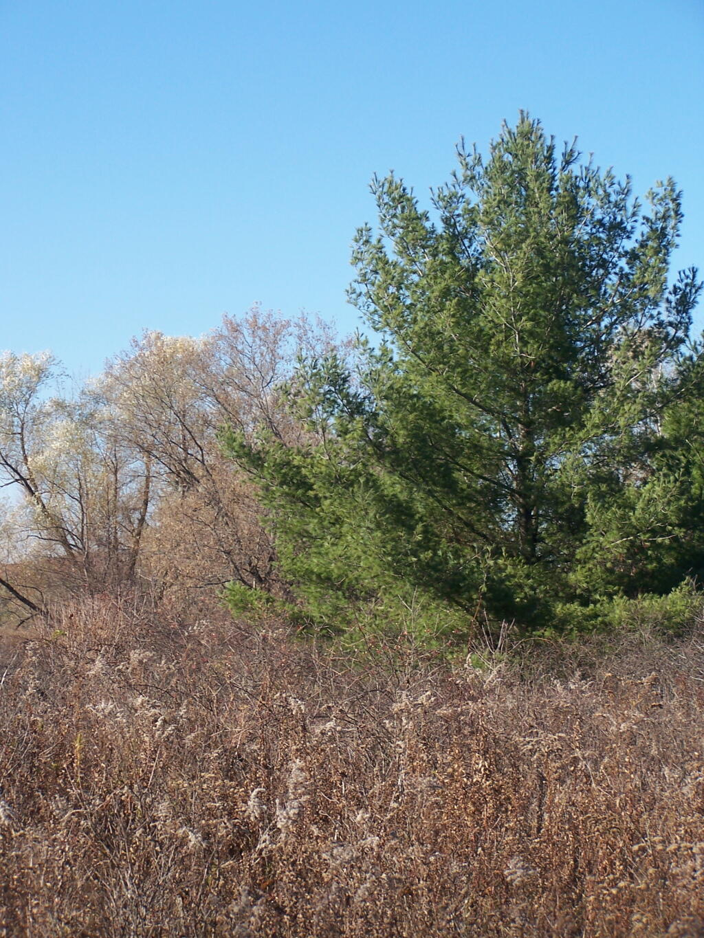 Photo: Untitled Photo: Untitled