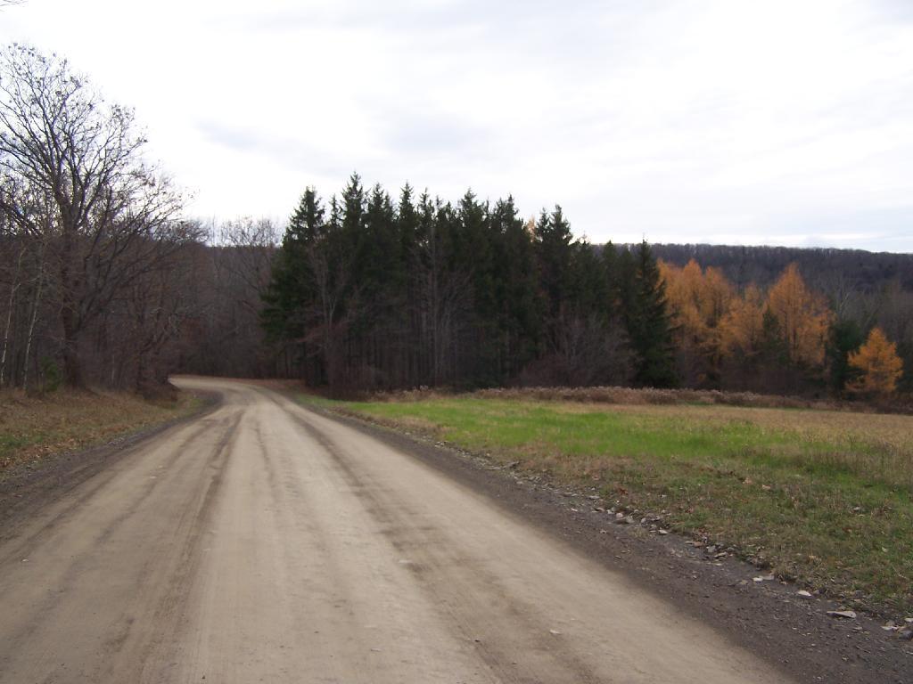 Photo: Upper Portion of Tower Road Photo: Upper Portion of Tower Road
