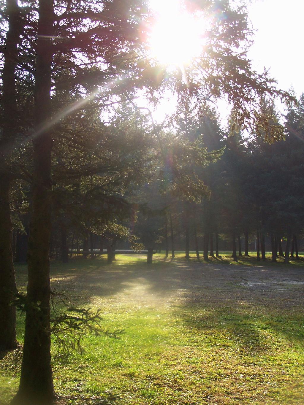 Photo: Sunrise Photo: Sunrise
