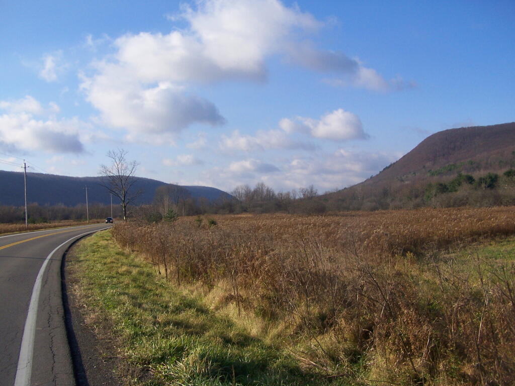 Photo: Coon Hollow Photo: Coon Hollow