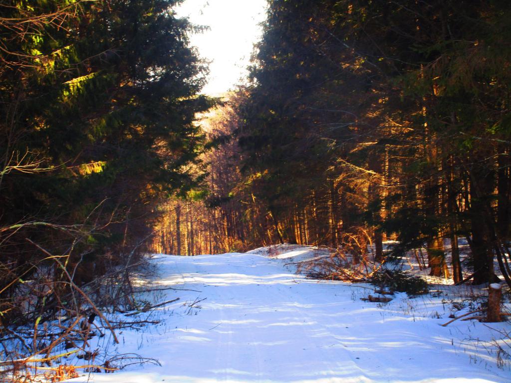 Photo: Enough Snow to Ski