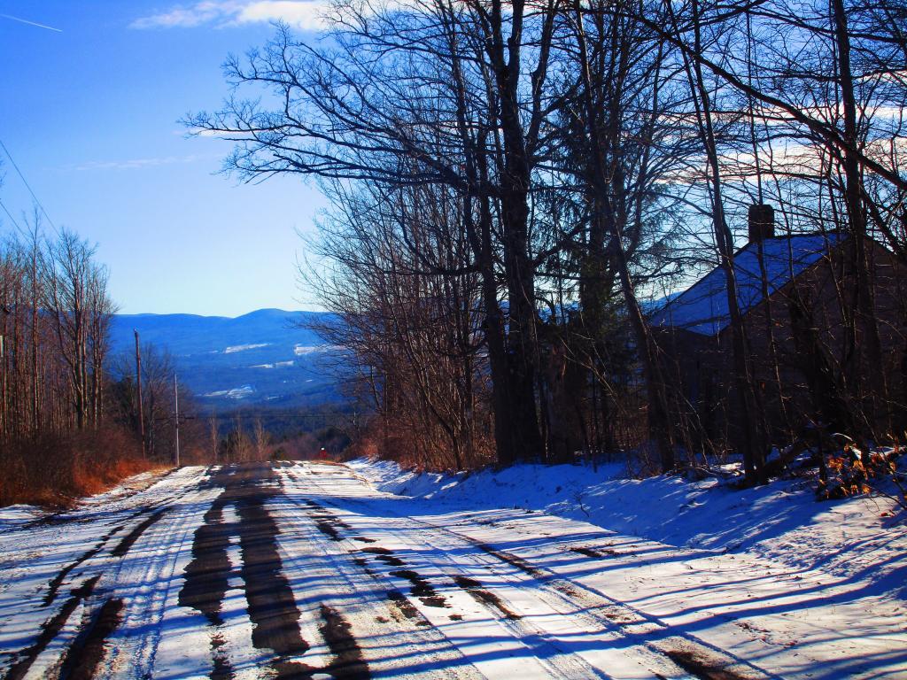 Photo: Scutt Road Photo: Scutt Road