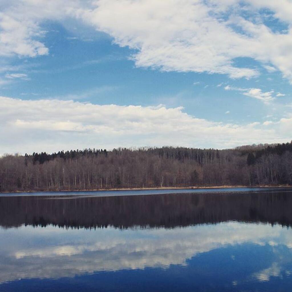 Photo: Basswood Pond in Burlington