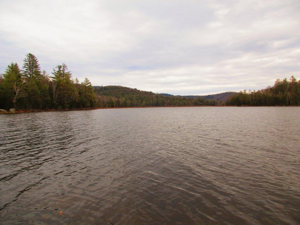 Photo: Cod Pond Photo: Cod Pond