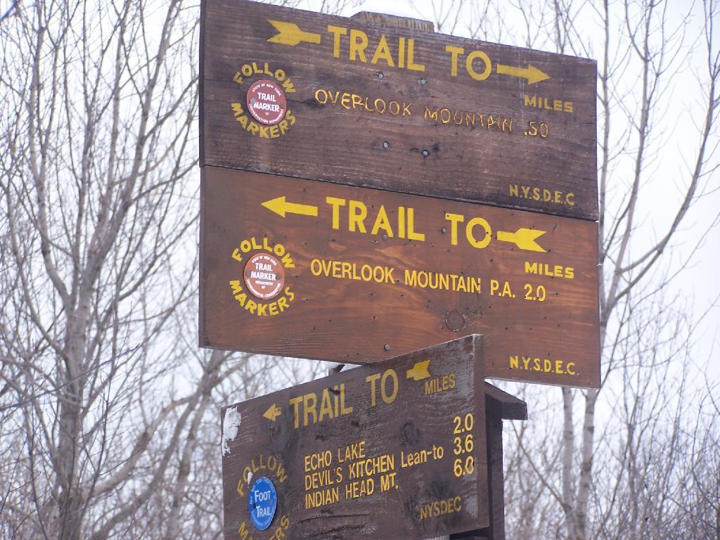 Photo: Signs